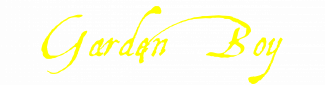 Garden Boy
