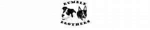 Rumble Brothers