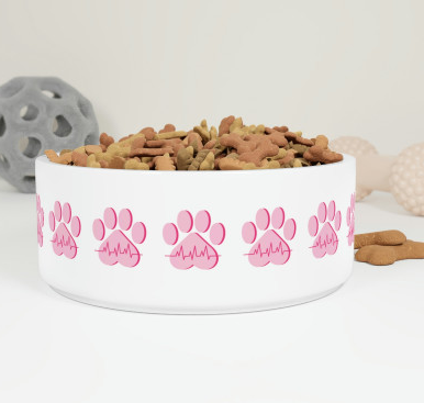 Pet Accessories