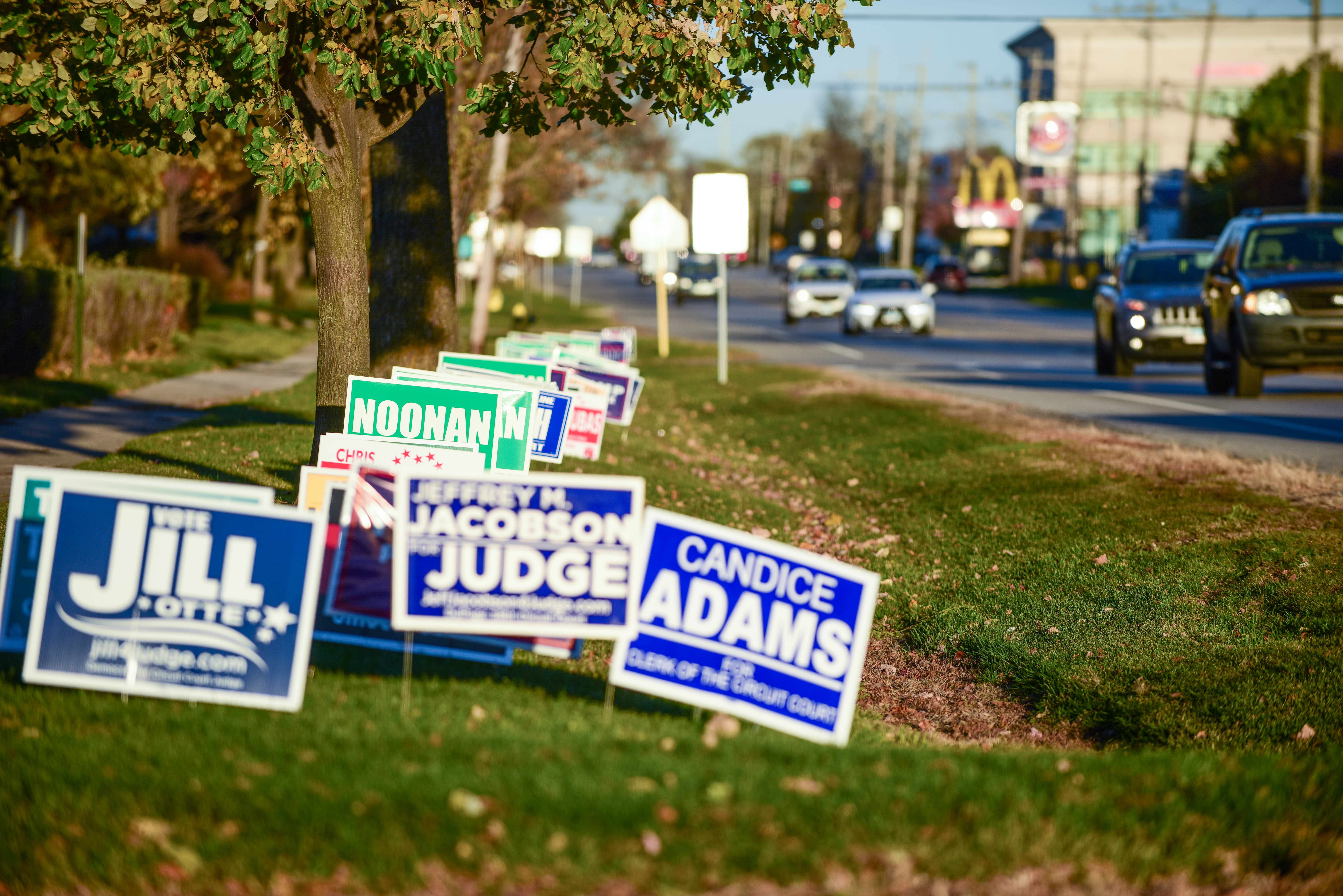Campaign Yard Signs line the street