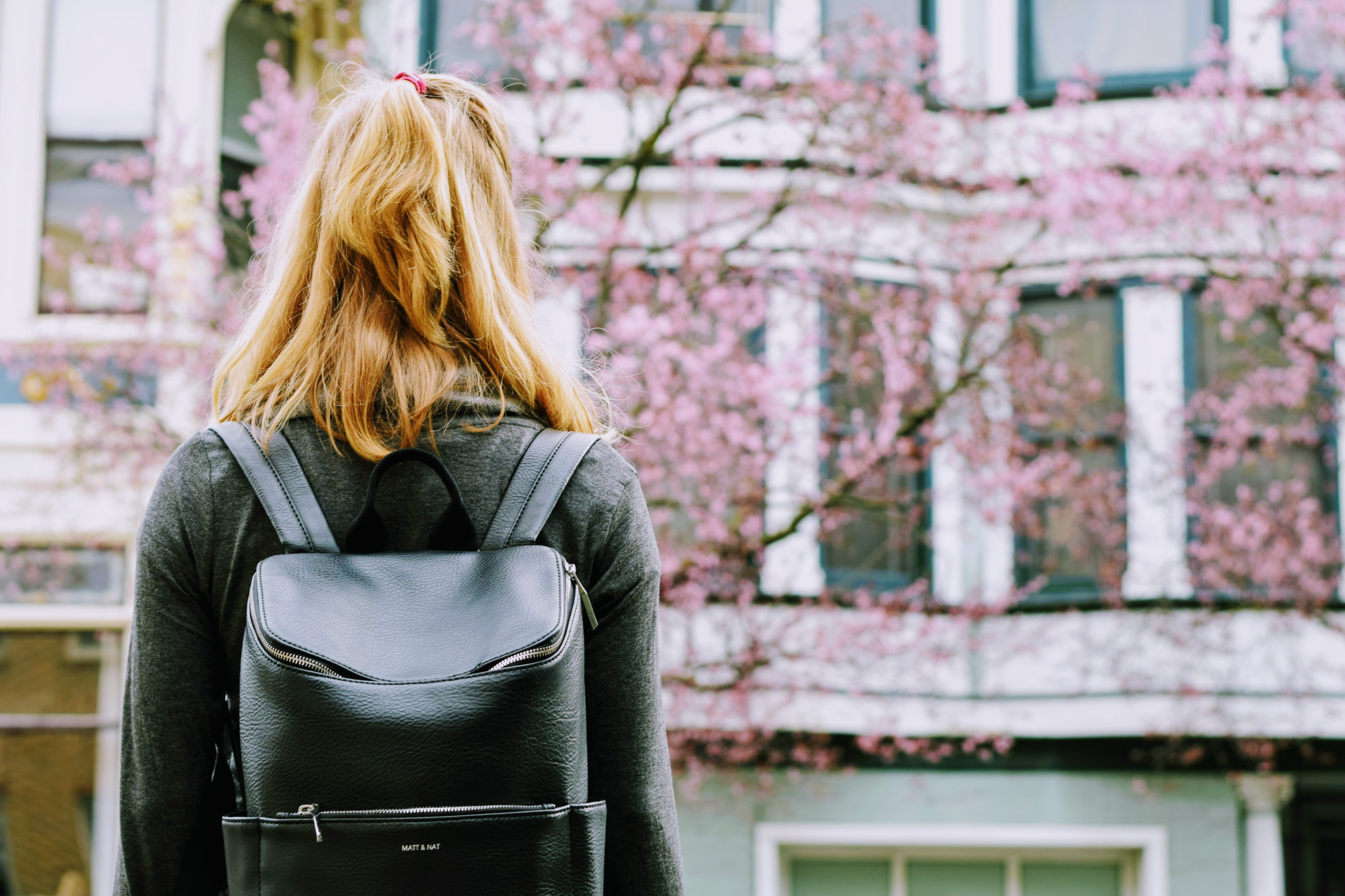 An Education awaits