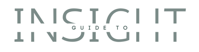 Guide To Insight