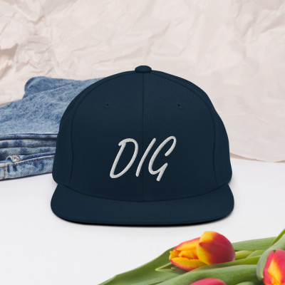 SNAPBACK DIG - DIG STORE
