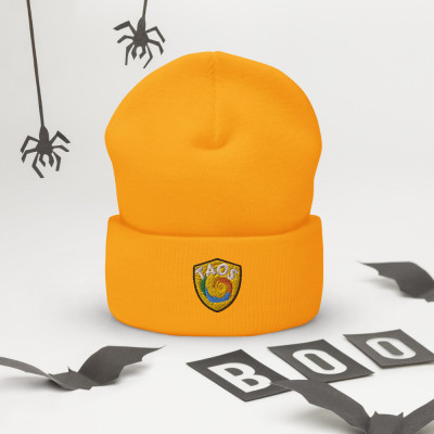 TAOS Cuffed Beanie