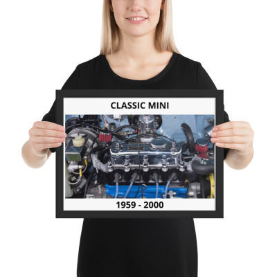Framed matte paper poster