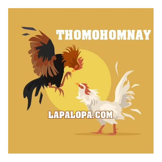 Launchlinks user profile image
